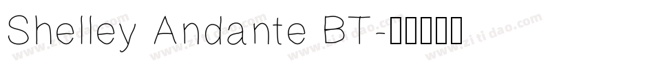 Shelley Andante BT字体转换